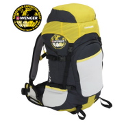 Wenger Almer 20L WG42011